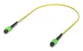 Produktbild: Ubiquiti Indoor OS2 single-mode fiber patch cable with MPO-12 Type B APC connectors designed for 100