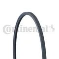 Produktbild: 2PJ800 CONTINENTAL CTAM Keilrippenriemen für SEAT,VW