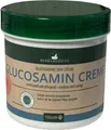 Produktbild: Herbamedicus Glucosamin Creme  wohluend und pflegend 250 ml