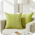 Produktbild: Topfinel Kissenbezug 50x50 Apfelgrün Kissenbezüge 2er Set Weich Chenille Deko Wohnzimmer Kissenhülle Sofakissen Dekokissen Kuschelkissen Zierkissen Für Sofa Bett Outdoor Garten Balko