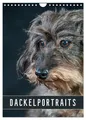 Produktbild: Susann Kuhr | Dackelportraits (Wandkalender 2026 DIN A4 hoch), CALVENDO...