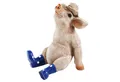 Produktbild: colourliving Tierfigur Deko Schwein Erich mit Hut und Stiefel Schweine Figuren Dekofigur, handbemalt mit viel Liebe zum Detail, wetterfest und pflegeleicht