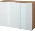 Produktbild: GERMANIA Schuhschrank GW-Telde mit weißen Glas-Fronten