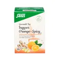 Produktbild: INGWER ORANGE Spicy Tee Salus Filterbeutel 15 St.