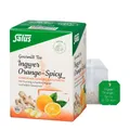 Produktbild: Salus® Gourmet Ingwer Orange-Spicy