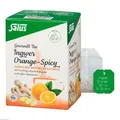 Produktbild: INGWER ORANGE Spicy Tee Salus Filterbeutel 15 St