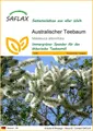 Produktbild: SAFLAX Blumensamen SAFLAX - Samen - Australischer Teebaum