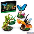 Produktbild: LEGO Ideas 21342 Die Insektensammlung 21342