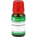 Produktbild: RHUS TOXICODENDRON LM 3 Dilution 10 ml