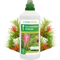 Produktbild: Purgrün® Tillandsien-Dünger 1 Liter – Leuchtende Blattfärbung durch Spurennährstoffe – Extra Kalium reduziert Trockenstress – Konzentrat für ca. 600 Liter Düngerlösung – Premium-Flüssigdünger