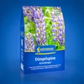 Produktbild: Kiepenkerl Düngelupine 1082000 – Gründüngungspflanze mit hoher Stickstoffbindung, proteinreiche Lupinensamen, 0,8 kg, ideal für Bodendüngung und Bodenfruchtbarkeit für 40 m²