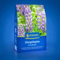 Produktbild: Kiepenkerl Düngelupine, 800 g für ca 40 m², Stickstoffbindung - Bodenlockerung