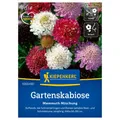 Produktbild: Kiepenkerl Saatgut Gartenskabiose Mammuth Mischung