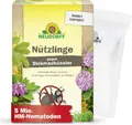 Produktbild: Neudorff Insektenspray Nützlinge gegen Dickmaulrüssler 5-10 Mio HM-Nematoden, 1-St.