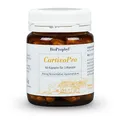 Produktbild: BioProphyl®Hyaluronsäure mit 250 mg Hyaluronsäure, Kupfer und Vitamin C für Knochen, Knorpel, Haut und Gelenke - 60 pflanzliche Kapseln für 2 Monate