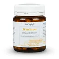 Produktbild: BioProphyl Hyaluron | 250 mg fermentative Hyaluronsäure | 60 Kapseln