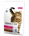 Produktbild: 5900951307898 PERFECT FIT Active 1+ Beef - trockenfutter für Katzen - 7kg PERFEC