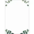 Produktbild: Motiv-Papier A4 90g Eucalyptus Getränkekarte 100 Blatt