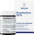 Produktbild: BRYOPHYLLUM 50% Pulver zum Einnehmen 50 g