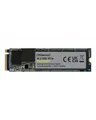 Produktbild: Intenso SSD 500 GB Premium M.2 PCIe