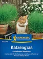 Produktbild: Kiepenkerl Katzengrassamen Frischgrün Mischung 1073301 - frisches Grün - schnell und einfach - niedriger Wuchs - Gräser, Pflanzensamen, Saatgut