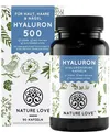Produktbild: Nature Love® Hyaluronsäure mit Zink | 90 Kapseln | 500 mg reine Hyaluronsäure je Kapsel | 3 Monatsvorrat | ohne Zusätze | vegan