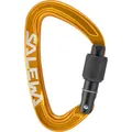 Produktbild: Salewa Ortles Screw Karabiner (Größe One Size, orange)