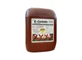 Produktbild: B.-Carbolin Holzanstrich 10 l Kst.-Kan. ; Burtex (1B10M)