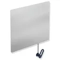 Produktbild: Hewi Kippspiegel 801.01.10050 600x540x6mm, mit Halter/Griff, stahlblau