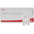 Produktbild: WALA® Arteria ophthalmica Gl D 8