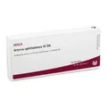 Produktbild: ARTERIA OPHTHALMICA GI D 8 Ampullen 10X1 ml