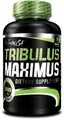 Produktbild: BioTech Tribulus Maximus Extra