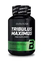 Produktbild: BioTech USA Tribulus Maximus, 90 Tabletten
