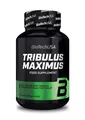 Produktbild: BioTech USA Tribulus Maximus 90Tab.