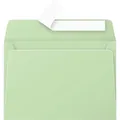 Produktbild: Clairefontaine Briefumschlag Pollen 5476C C6 grün 20 St./Pack.