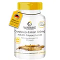 Produktbild: Cordyceps Extrakt 500 mg - 120 Kapseln - schluckfreundlich, standardisiert auf 40% Polysaccharide, veganer Vitalpilz | Warnke Vitalstoffe - Deutsche Apothekenqualität