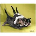 Produktbild: Speedlink Silk Mousepad Cats Mauspad Motiv Baby Katzen Katze flach 1,5mm dünn