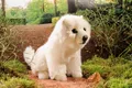 Produktbild: Kösen Kuscheltier Hund Spitz weiß sitzend Stoffhund Plüschhund