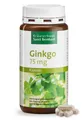 Produktbild: Sanct Bernhard Sanct Bernhard Ginkgo 75 mg 240 Kapseln Kapseln