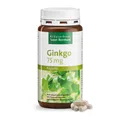 Produktbild: 240 Ginkgo Kapseln (1 Dose) Sanct Bernhard, mit Ginkgo-biloba-Spezialextrakt