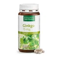 Produktbild: Ginkgo-Kapseln 75 mg | Ginkgo biloba-Spezialextrakt | 240 Stück | 166,67€/kg