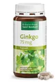 Produktbild: Sanct Bernhard Ginkgo 75 mg 240 Kapseln (165,09 EUR/kg)