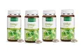 Produktbild: Sanct Bernhard Ginkgo 75 mg 4x240 Kapseln (150,94 EUR/kg)