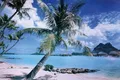Produktbild: Close Up Poster Insel Bora Bora Poster Strand 91,5 x 61 cm