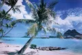 Produktbild: Insel Bora Bora Poster Strand 91,5 x 61 cm