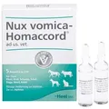Produktbild: NUX VOMICA HOMACCORD ad us.vet.Ampullen 5 St