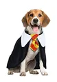 Produktbild: FIESTAS GUIRCA Zauber Schüler Hunde Kostüm - Magier Hund – Halloween Hundekostüm - M