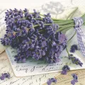 Produktbild: 20er Pack Servietten LAVENDEL lila 33x33cm Papier Home Fashion
