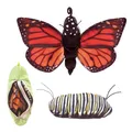 Produktbild: Metamorphose Schmetterling/Monarch Life Cycle  Folkmanis Puppets Handpuppe (3073
