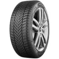 Produktbild: Dunlop Winter ( 205/55 R16 91H EVs BLK )